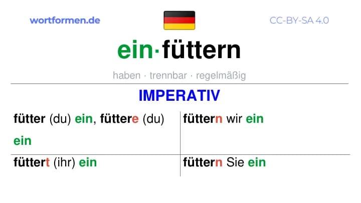 Imperativ des Verbs einfüttern, Imperativbildung einfüttern, Bildung Imperativ von einfüttern, Imperativformen von einfüttern, Befehlsformen einfüttern