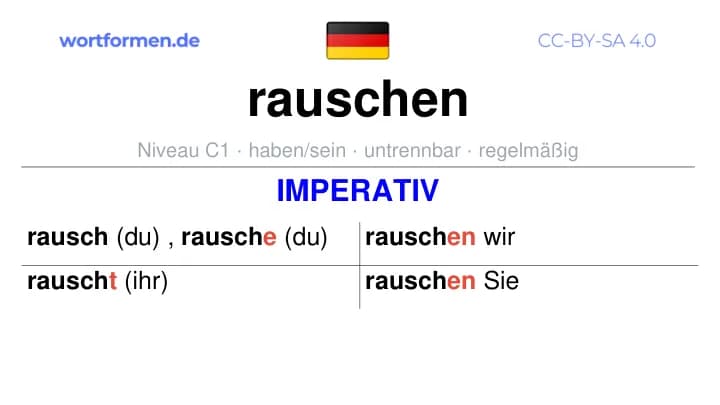 Imperativ des Verbs rauschen, Imperativbildung rauschen, Bildung Imperativ von rauschen, Imperativformen von rauschen, Befehlsformen rauschen
