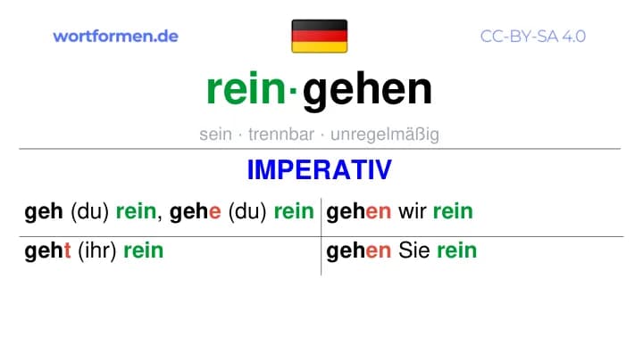 Imperativ des Verbs reingehen, Imperativbildung reingehen, Bildung Imperativ von reingehen, Imperativformen von reingehen, Befehlsformen reingehen