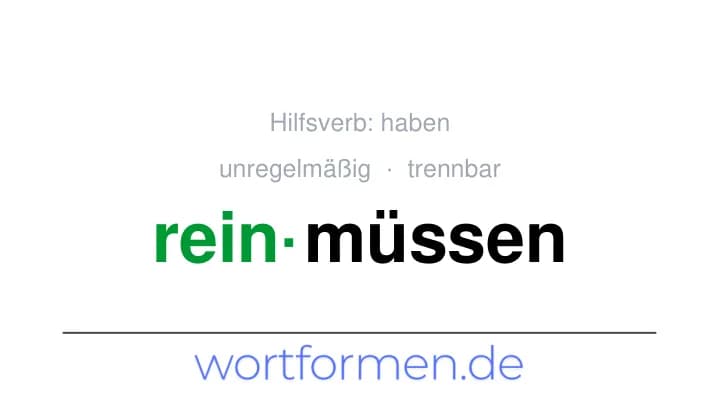 Konjugation des Verbs reinmüssen (trennbar, unregelmäßig)